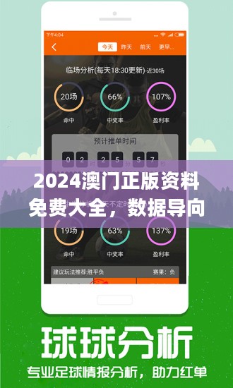 2024澳门精准正版免费本车准确解答｜决策资料解释落实