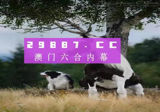 夜色中的猫